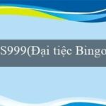 yo88(- Tiếng Việt Bingo Sống Động)