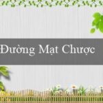 Đường Mạt Chược 2(Sôi động Bingo)