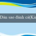 CADO888(Kinh Thành Vàng của Nhân Chủ Maya)