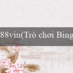 D9bet(Được Phong Cách Bingo – Trò Chơi Bingo Sôi Động)