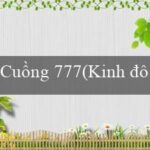 Khỉ đột Mayham(Thành phố của vẻ đẹp vàng Maya)