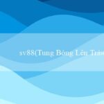 sbotop(Cuộc Đua Đến Phần Thưởng Chiến Lược Chinh Phục)