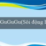 GuGuGu(Tiếng Việt Trò chơi Bingo Sôi Động)