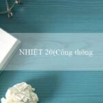 NGÀY LỄ VONG LINH(Trang cá cược Việt Nam Vo88 mới nhất)