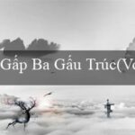 Dragon Fortune(Vượt qua ngưỡng cửa Vo88 với đặc điểm tiêu biểu)