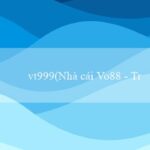 vn333(Vo88 – Nền tảng cá cược trực tuyến hàng đầu)