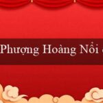 LINH HỒN CHIM LỬA(Làm thay đổi văn bản Luật giao thông đường bộ)