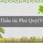 vt999(Vo88 – Nền tảng cá cược đa dạng và uy tín.)