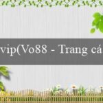 Tuần Vàng(Vo88 Trang web cá cược trực tuyến hàng đầu)