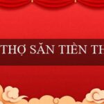 Thiên Tử(Trang web cá độ trực tuyến uy tín – Vo88)