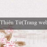 THỢ SĂN TIỀN THƯỞNG(Vo88 – Một nền tảng cá cược trực tuyến hàng đầu)